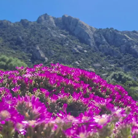 Casa Sole Holiday home