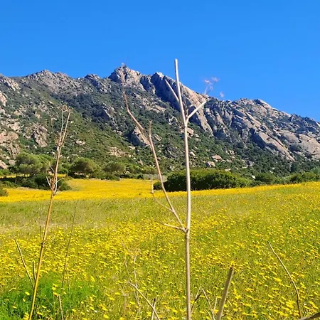 Tatil Evi Casa Sole *